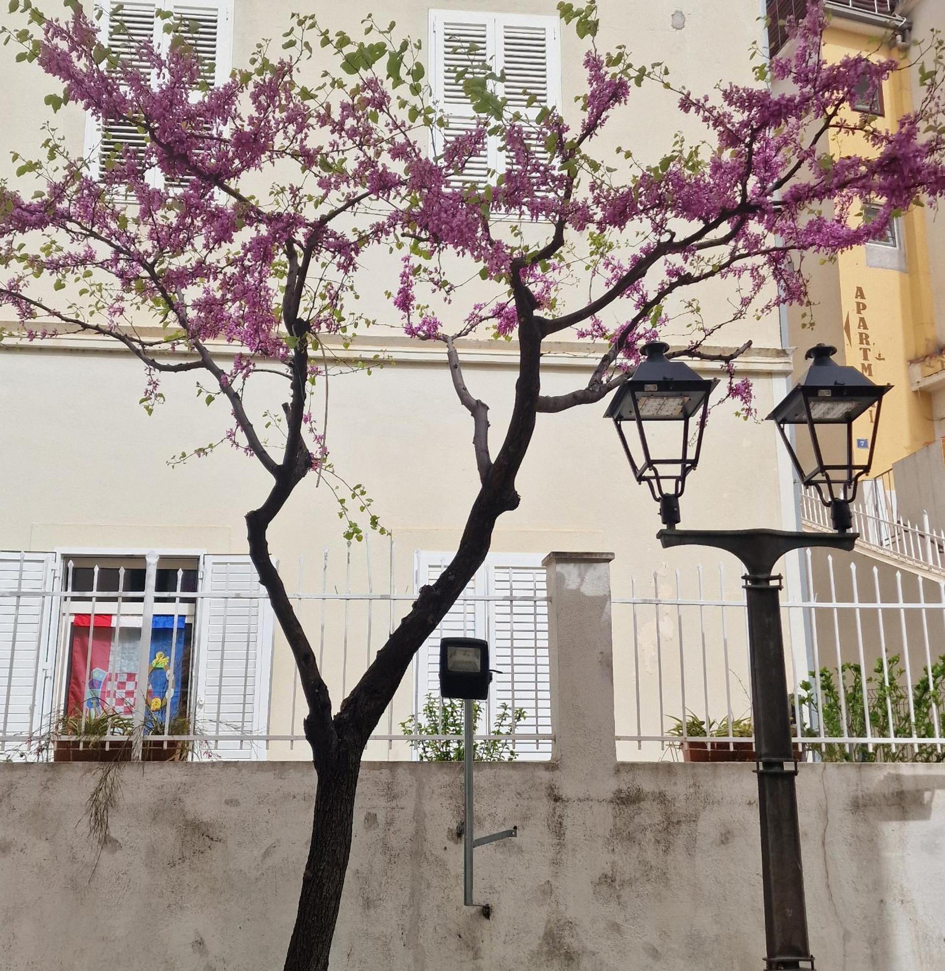 Old Town Apartment Omiš Exterior foto